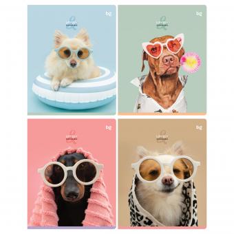 Тетрадь А5 48л. BG, линия, в ассортименте