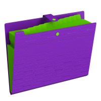 Папка 12 отделений А4 Berlingo "Your Way", 600мкм, на кнопке, фиолетовая