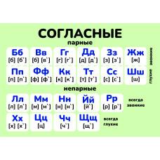 Карточки шпаргалки "Русский согласные" (148*210мм)
